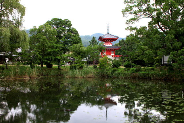 大覚寺 大沢の池で_e0048413_181484.jpg