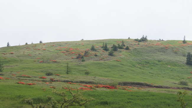 f0233414_03938.jpg