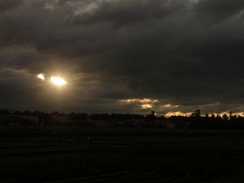 大雨の後_c0025115_2018634.jpg