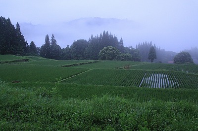 a0087818_213999.jpg