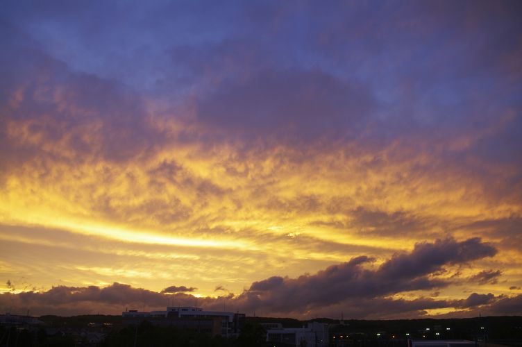 a0194620_19462278.jpg