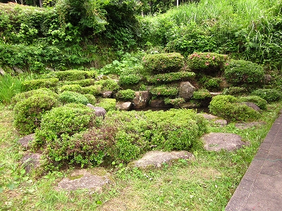 f0203324_1051842.jpg