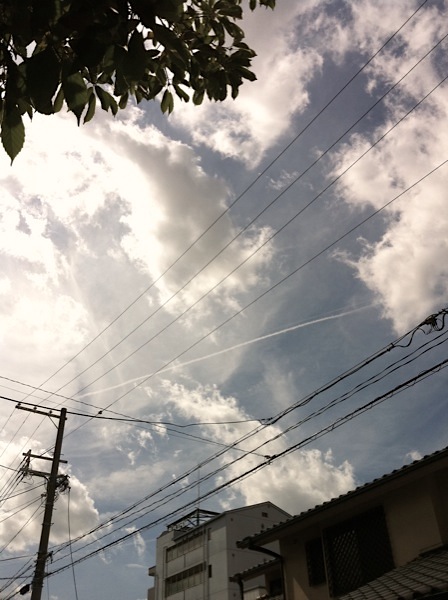 #0575 : いつの間にか夏の空_b0122729_185779.jpg