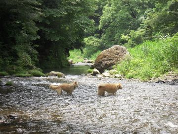 d0104029_14069.jpg