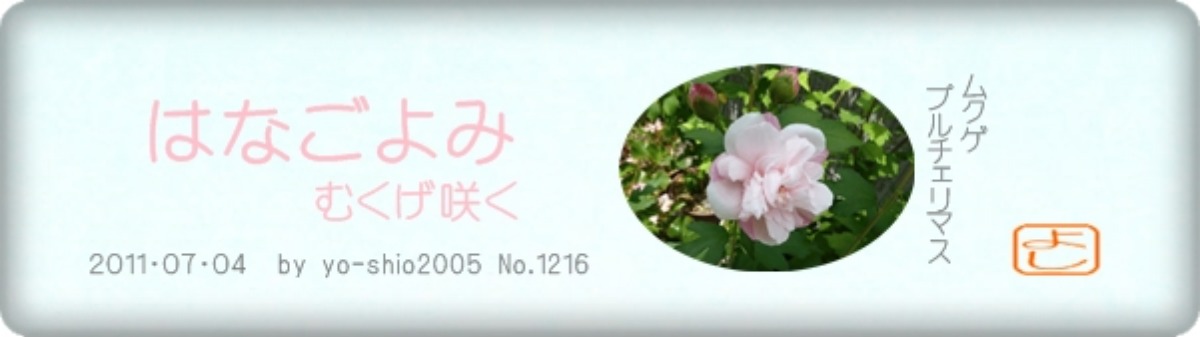 e0033229_1753414.jpg