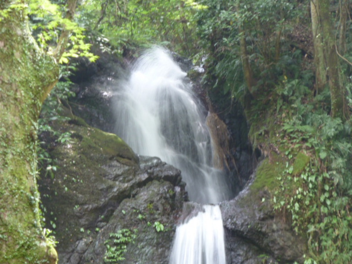 e0033229_18275491.jpg