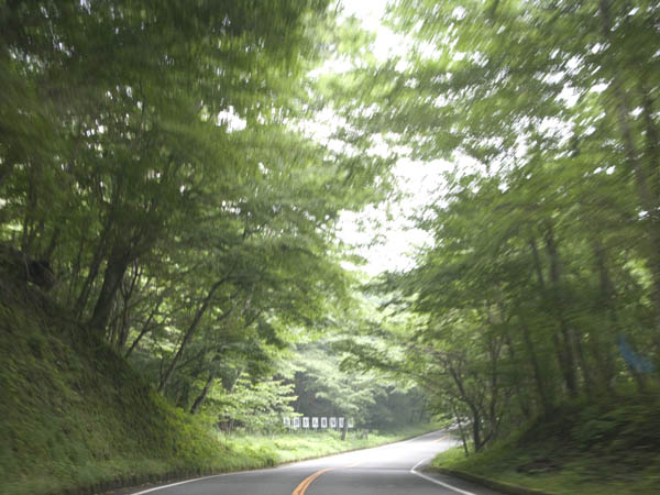 d0045432_1312523.jpg