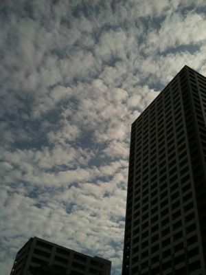 b0067346_7483195.jpg