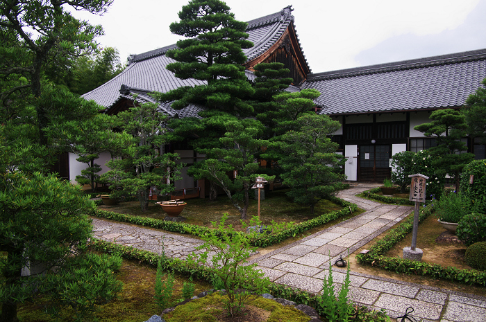 沙羅の花を愛でる会(妙心寺塔頭・東林院)_f0155048_21324818.jpg