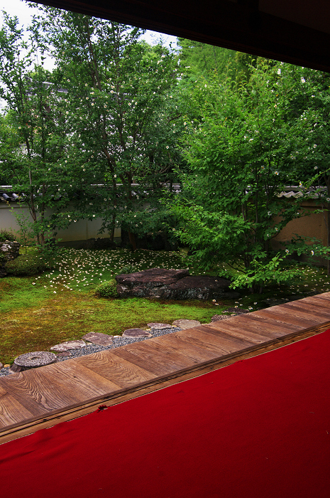 沙羅の花を愛でる会(妙心寺塔頭・東林院)_f0155048_21334146.jpg