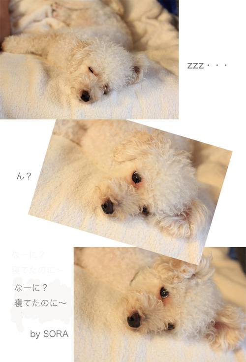 ホットな毎日_e0158653_23321428.jpg