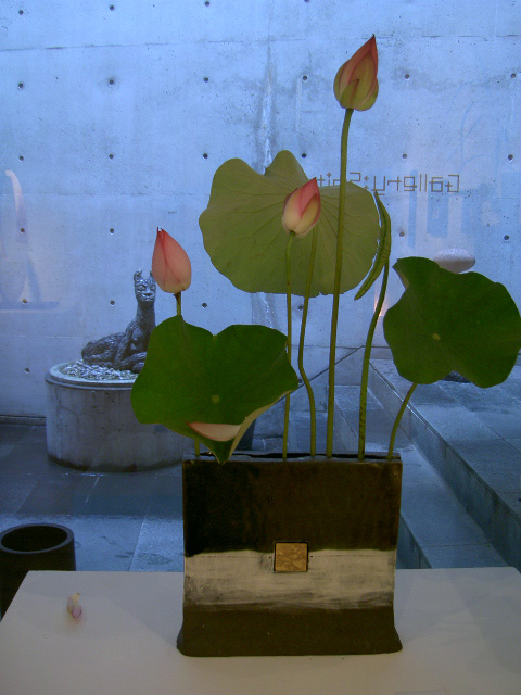 草花と作品_a0071956_1754230.jpg
