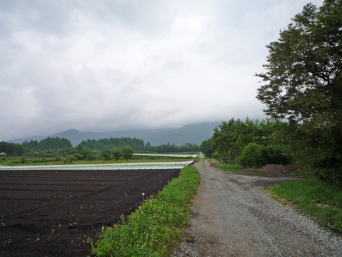 b0045357_903882.jpg