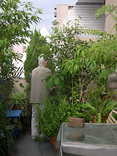 e0200261_7464314.jpg