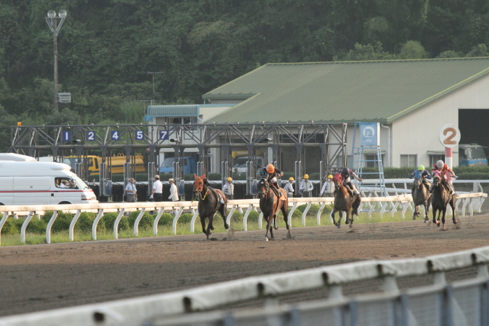 2011年7月2日（土） 高知競馬 6R B-6_a0077663_19302239.jpg