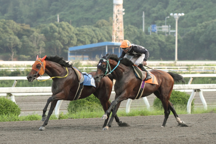 2011年7月2日（土） 高知競馬 6R B-6_a0077663_1930358.jpg