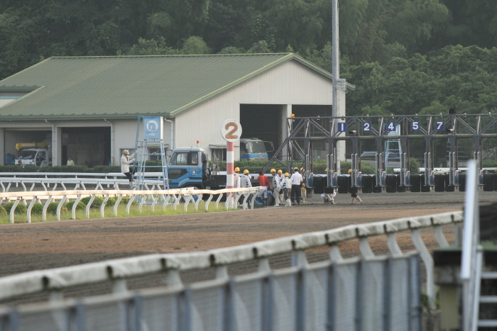 2011年7月2日（土） 高知競馬 6R B-6_a0077663_1930830.jpg