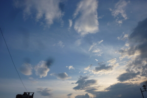 d0173368_2471566.jpg