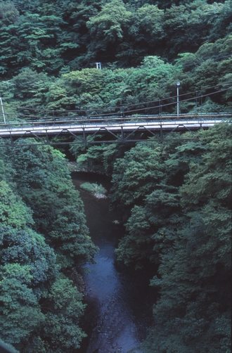 c0124773_22401761.jpg