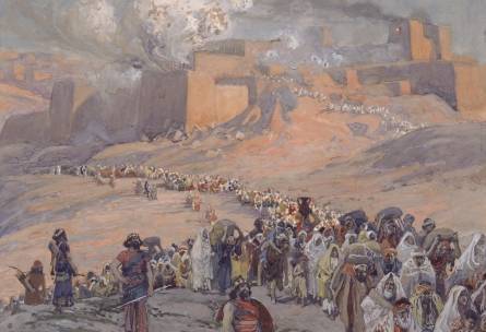 涙のカタルシス4 王殺しとは何か ロプノールと天空城 b たんぽぽ日記_c0139575_3144020.jpg