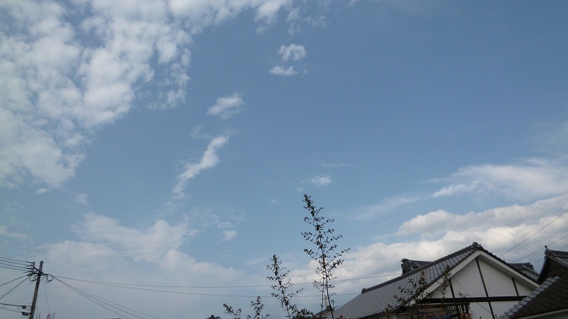 少し立ち止まって_d0230676_1702699.jpg