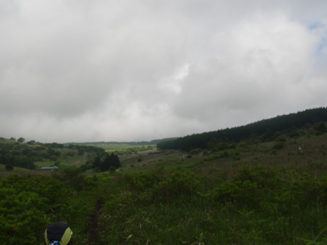 c0206177_813298.jpg