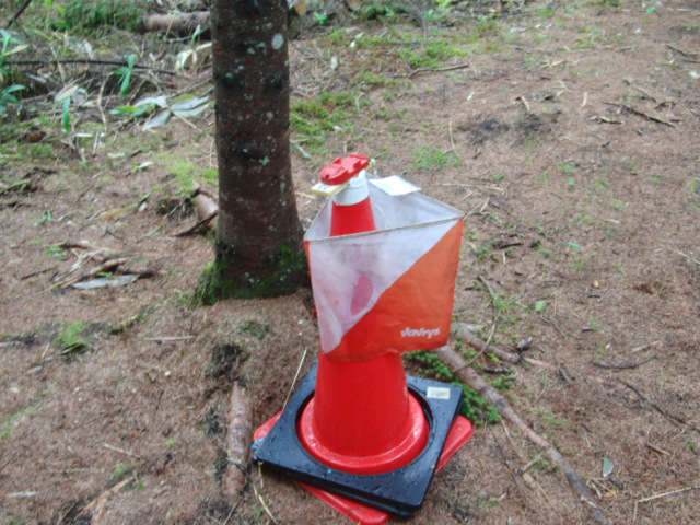 c0206177_881329.jpg