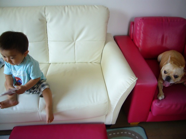 d0048577_22244511.jpg