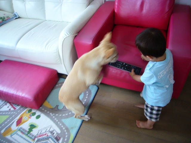 d0048577_22245627.jpg