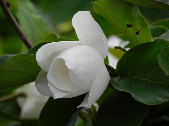 b0047184_2159276.jpg