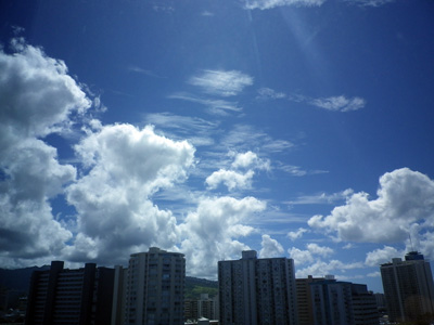 f0220791_1333880.jpg