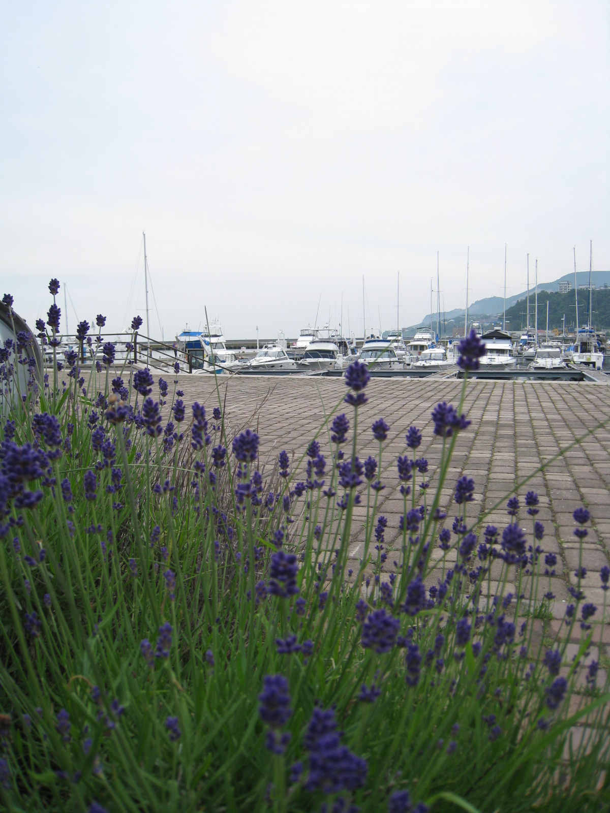 f0236391_8521420.jpg
