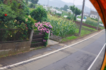 d0133693_8172158.jpg