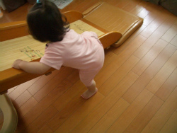 e0143793_1151843.jpg