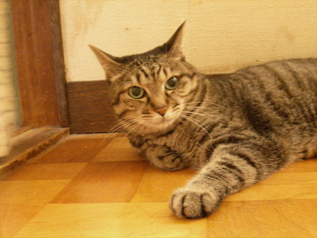 a0038698_14362482.jpg