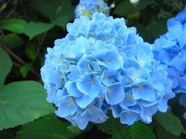 b0138798_0125358.jpg