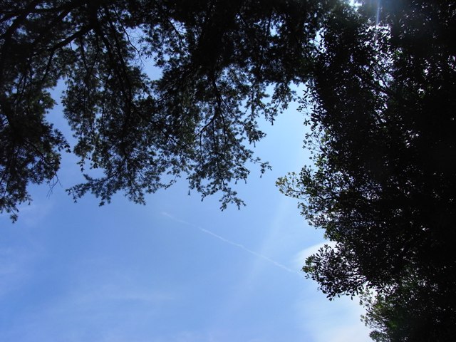 b0138798_09134.jpg