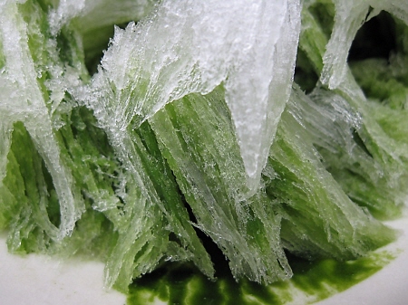 f0033598_0432719.jpg