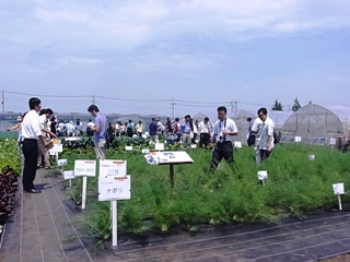 e0145301_719439.jpg