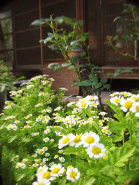 d0077603_9203598.jpg