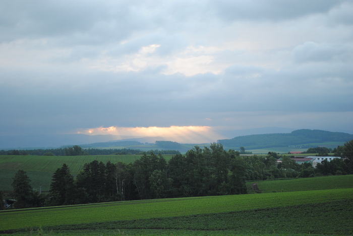 d0160307_2243337.jpg