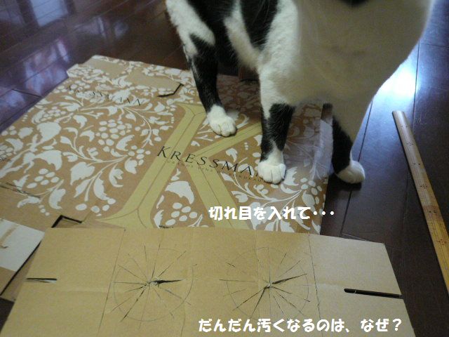 e0094407_2241748.jpg