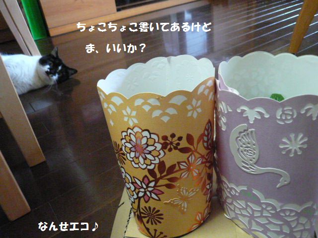 e0094407_2254228.jpg