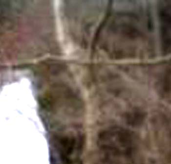 e0103408_20242514.jpg