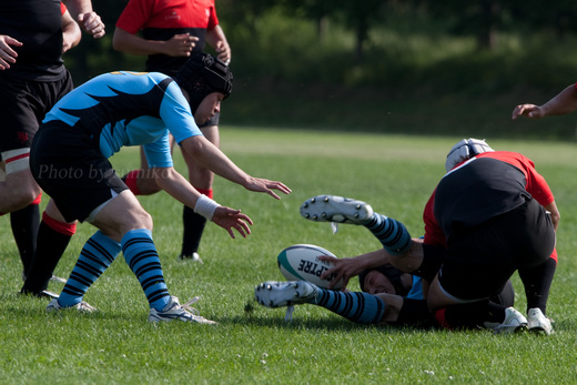 Rugby_c0090011_1665637.jpg