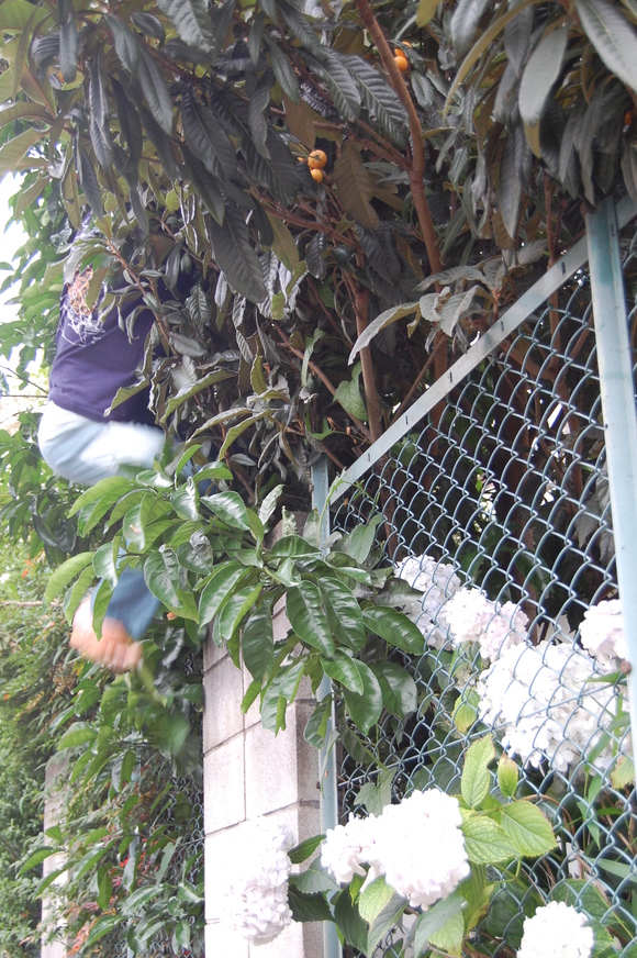 f0233815_2222771.jpg