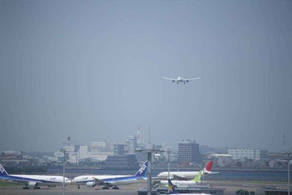 Ｂ７８７　ＳＲＯＶ１日目_f0231416_13514550.jpg