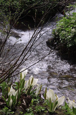 a0087818_8244975.jpg