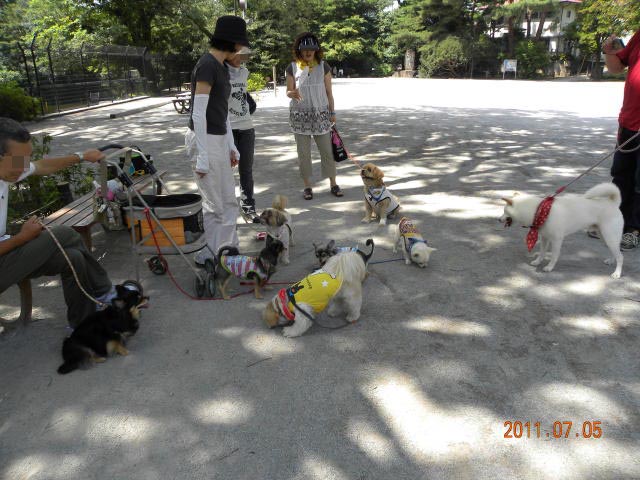 b0203018_18111546.jpg