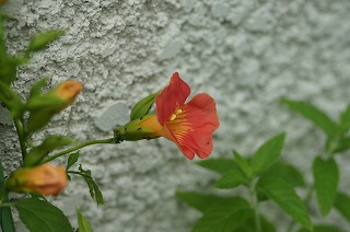 b0226818_11204856.jpg